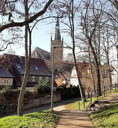 Lutherrose * Lutherstadt Eisleben