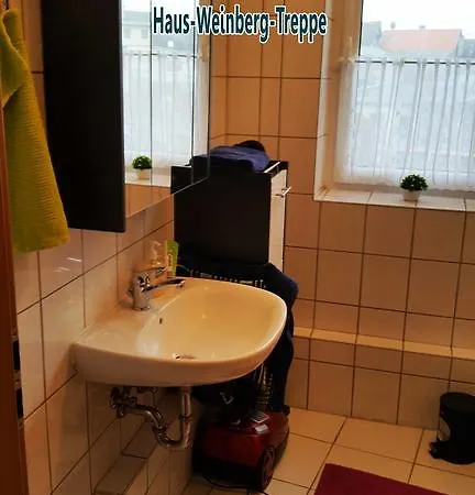 Lutherrose Lutherstadt Eisleben