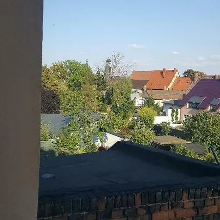 Lutherrose Apartment *