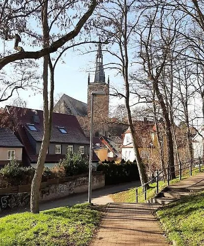 Lutherrose * Lutherstadt Eisleben
