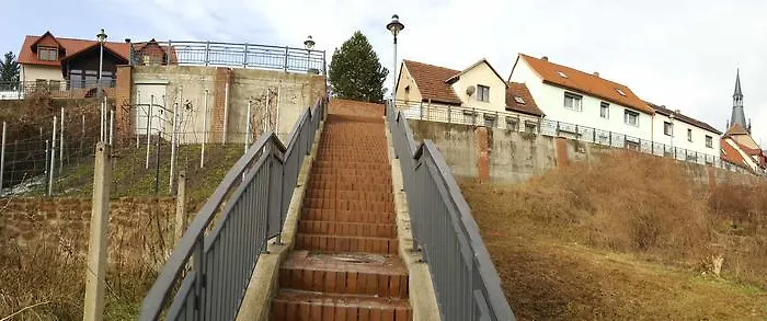 Lutherrose * Lutherstadt Eisleben