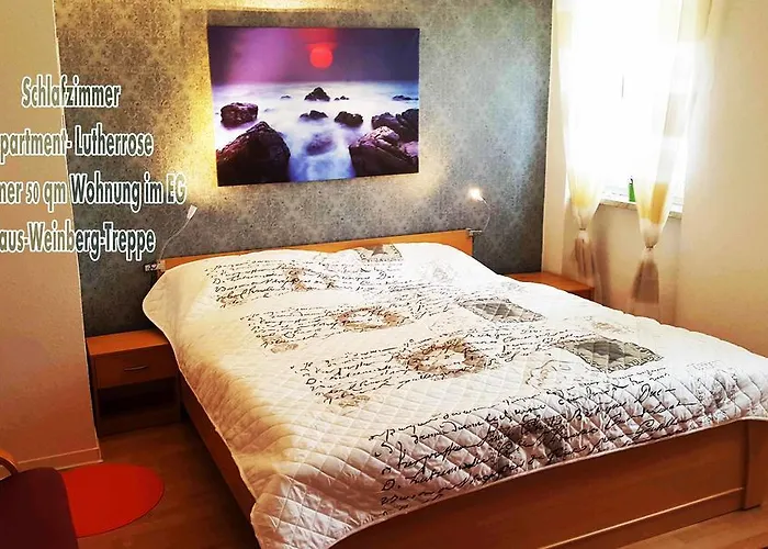 Lutherrose Lutherstadt Eisleben