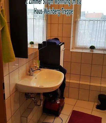 Lutherrose Lutherstadt Eisleben